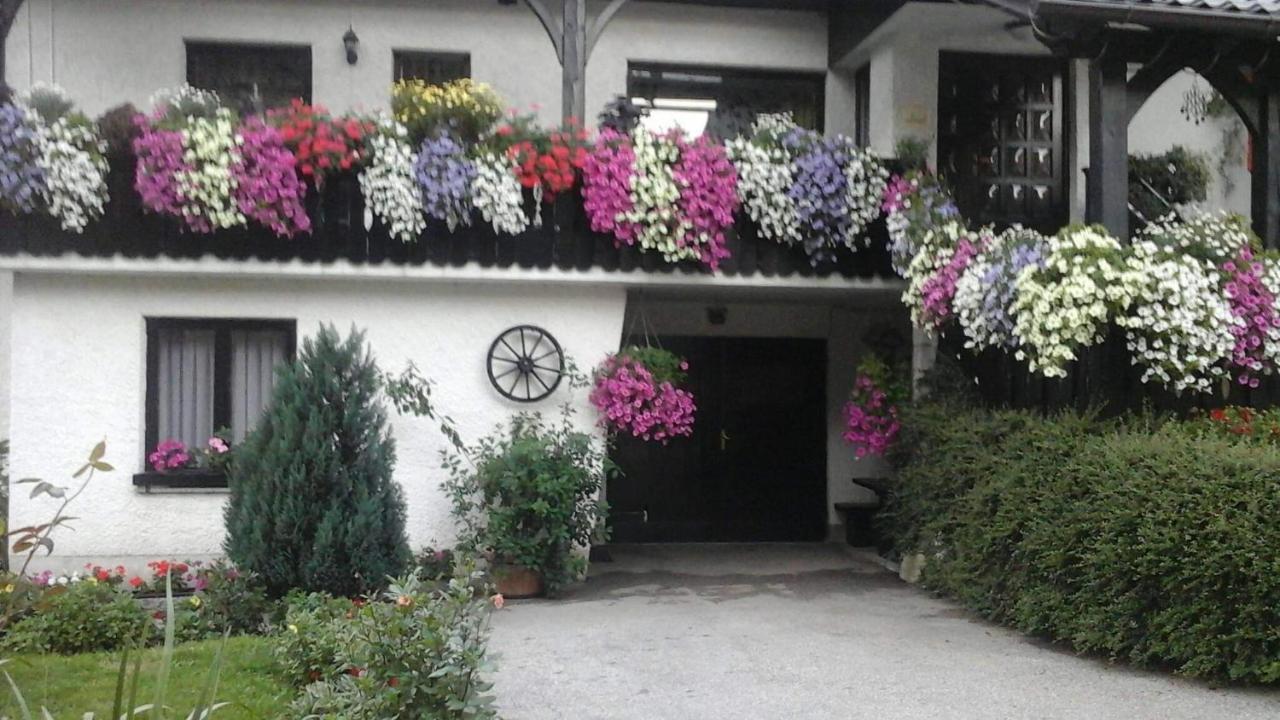 Apartament Sobe Tanja Podbrdo Zewnętrze zdjęcie