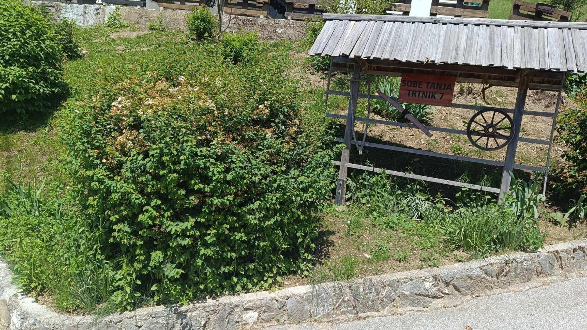 Apartament Sobe Tanja Podbrdo Zewnętrze zdjęcie